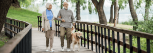 couple walking dog