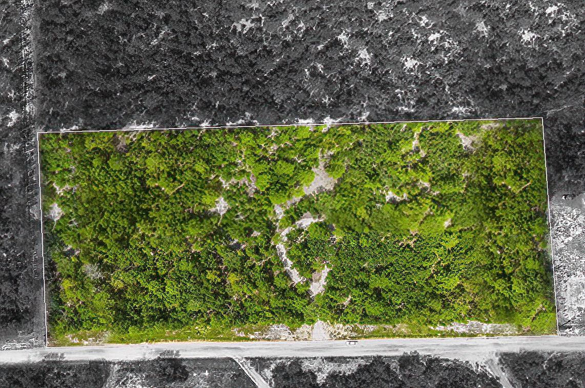 Invest in Your Future: A 4.5-Acre Opportunity in Palatka, FL