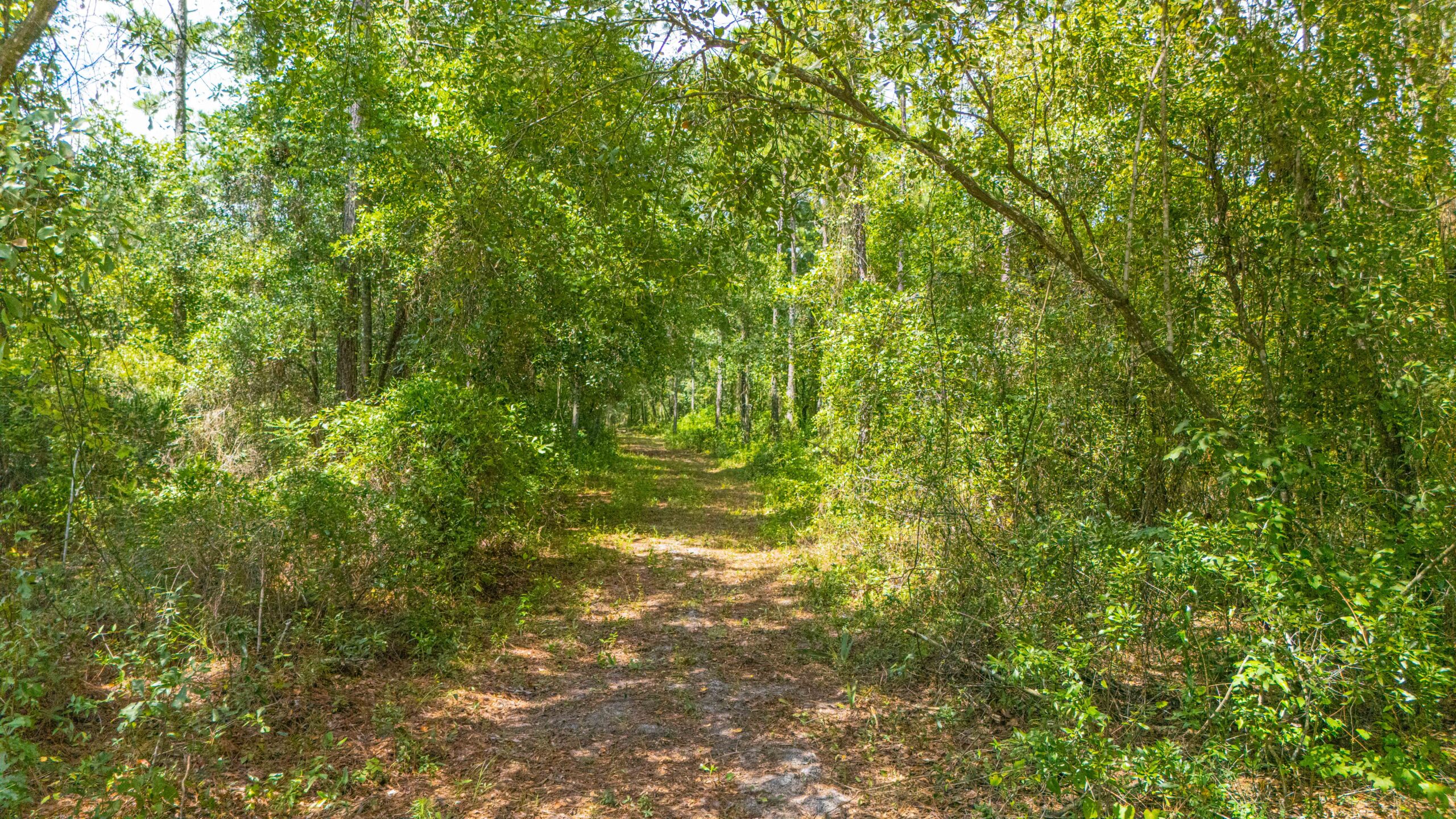 51.94 acres in St Augustine, FL