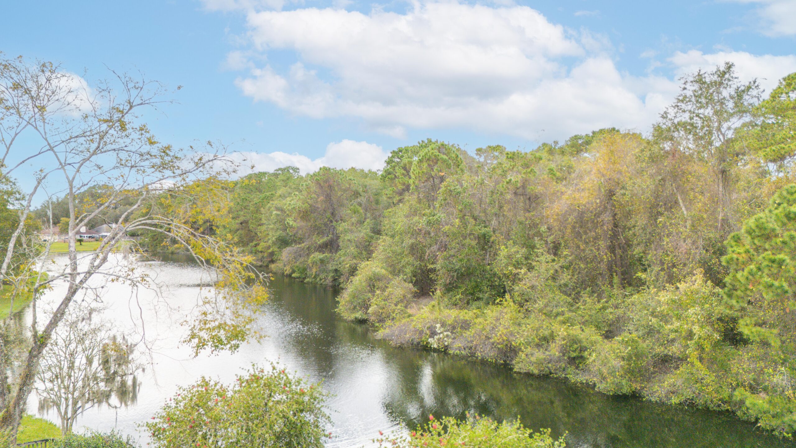 A Hidden Gem in Oakleaf Plantation and NW Clay County