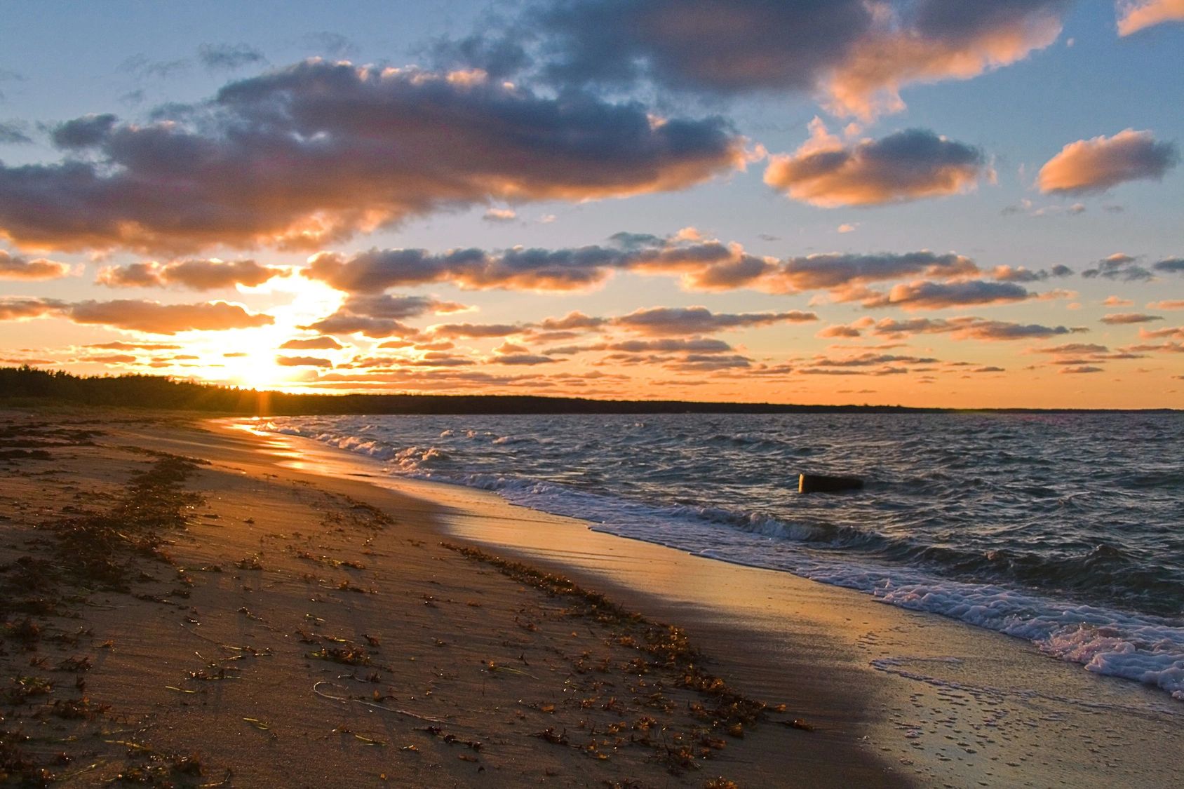 Northeast Florida Housing Market Update